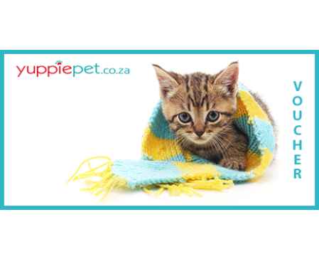 Gift Card - Kitten with scarf