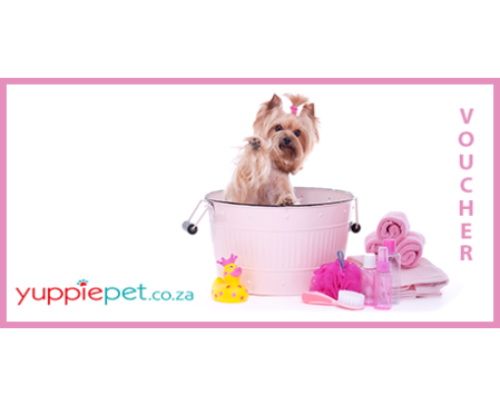 Gift Card - Pink Yorkshire Terrier