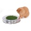 petstages-nature-track-cat-toy-in-use