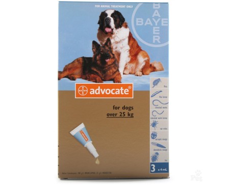 Advocate Dog XL