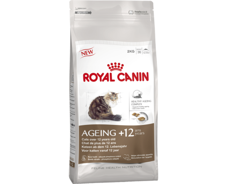 royal-canin-aging-cat-food