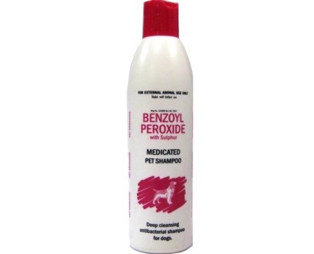 benzoyl-peroxide-shampoo-dog-cat