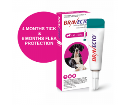 bravecto-spot-on-dog-x-large