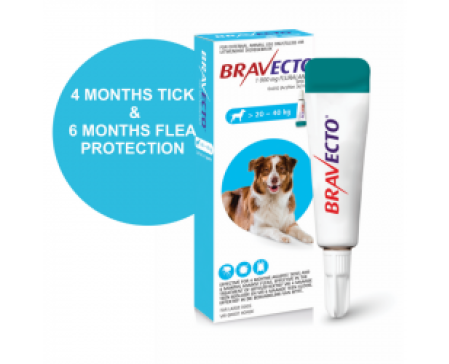 bravecto-spot-on-dog-large