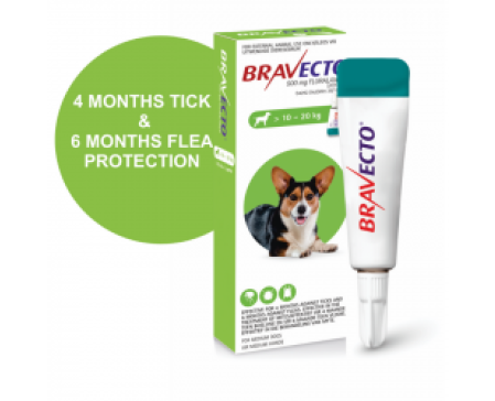 bravecto-spot-on-dog-medium