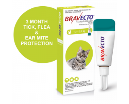 bravecto-spot-on-small-cat