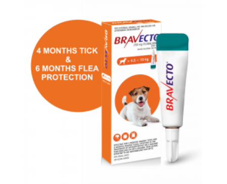 bravecto-spot-on-dog-