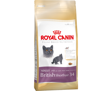 royal-canin-feline-british-shorthair