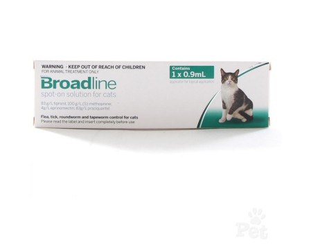 broadline-large-cat-spot-on