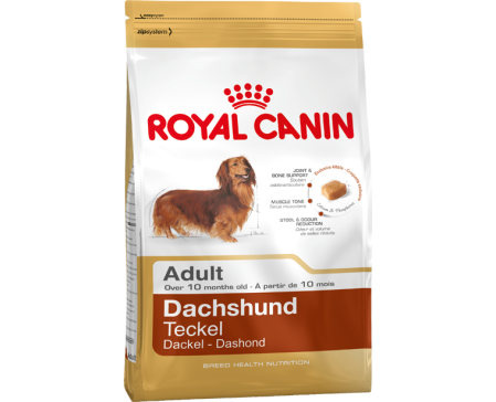 royal-canin-dog-dachshund-adult