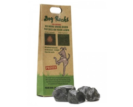 urine-dog-rocks