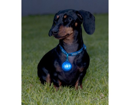 Rogz Dogz Tagz Safety Light S