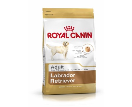 Royal Canin Maxi Labrador Retriever Adult