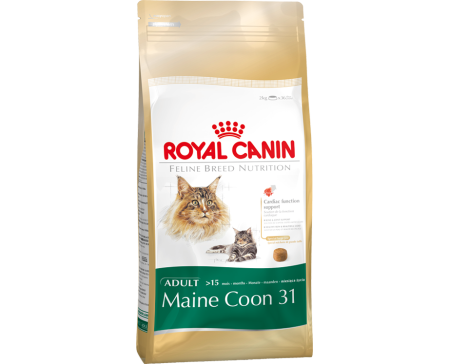 royal-canin-feline-maine-coon