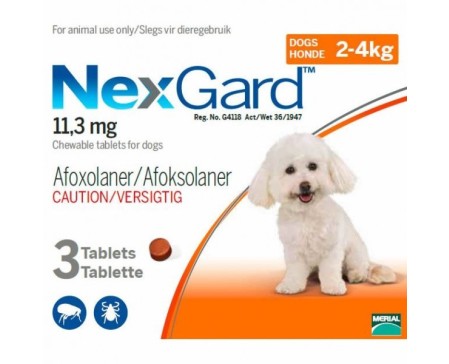 nexgard-flea-tick-preventative-2-4kg-dog