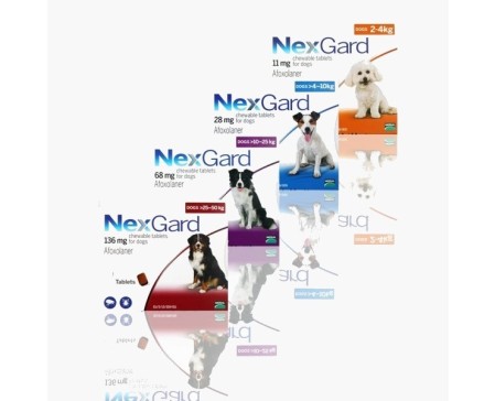 nexgard-flea-tick-preventative-dog-single-tablets
