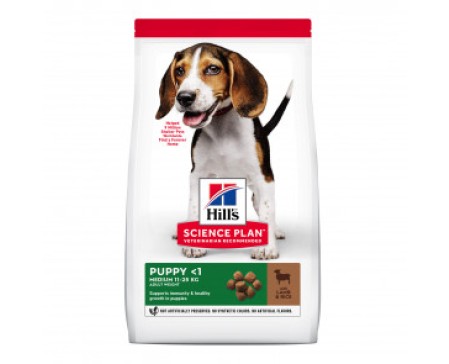 hills-science-plan-puppy-healthy-development-medium-lamb-rice-dog-food