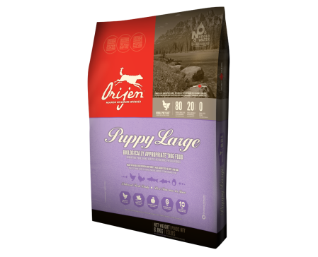 orijen-large-breed-puppy-dog-food