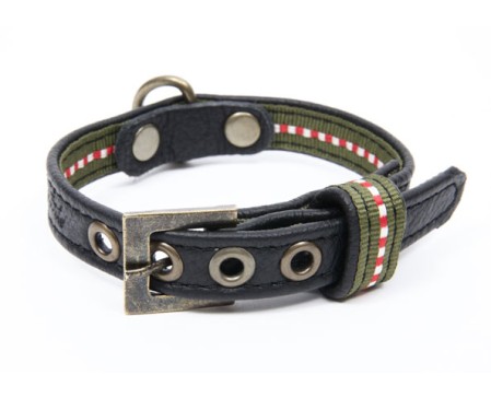 Wag World Collar XS Black