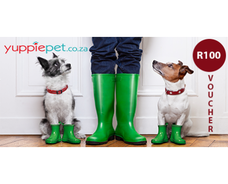 doggy-dash-yuppie-pet-gift-voucher-100