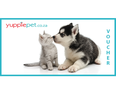Gift Card - Kitten & Puppy