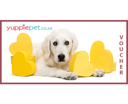 Gift Card - Dog with Yellow Hearts