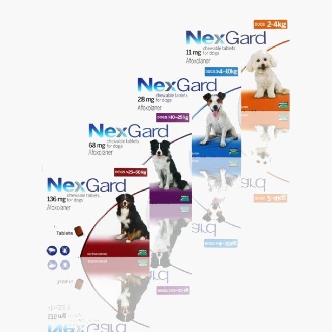 Nexgard mechanism of action shop