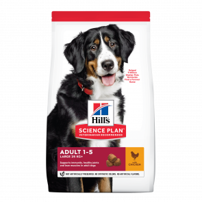 Hills Premium Dog Cat Food Buy Online Free Delivery