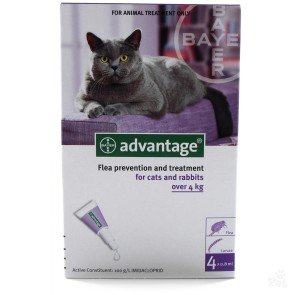 Advantage Cat L