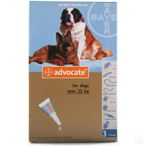 Advocate Dog XL