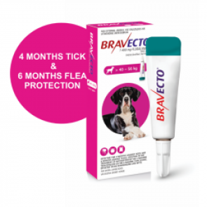 bravecto-spot-on-dog-x-large