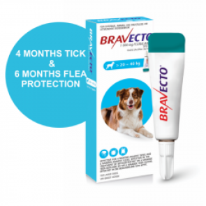 bravecto-spot-on-dog-large