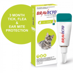 bravecto-spot-on-small-cat