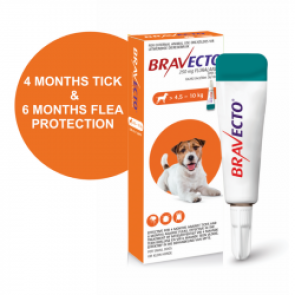 bravecto-spot-on-dog-