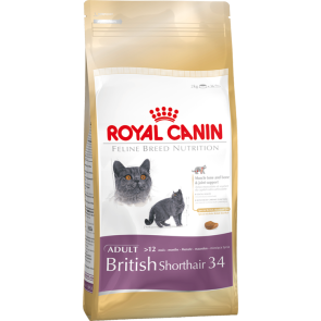 royal-canin-feline-british-shorthair