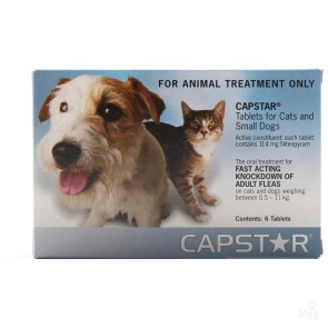 Capstar Flea Tablets 11mg, Cat & Small Dog - 1 Tablet
