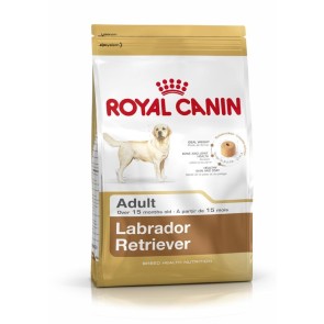 Royal Canin Maxi Labrador Retriever Adult