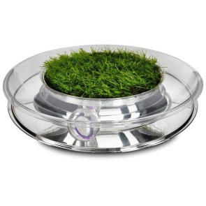 petstages-nature-track-cat-toy