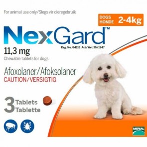 nexgard-flea-tick-preventative-2-4kg-dog