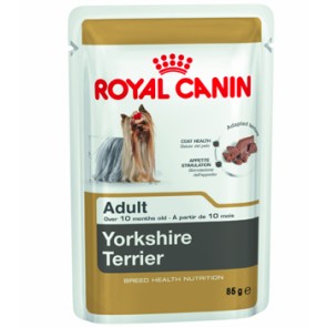 royal-canin-dog-pouches-yorkshire-terrier