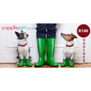 doggy-dash-yuppie-pet-gift-voucher-100