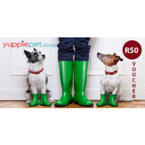 doggy-dash-yuppie-pet-gift-voucher-50