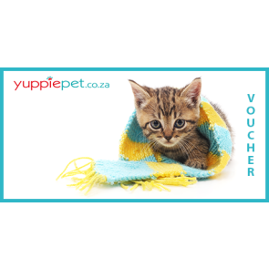 Gift Card - Kitten with scarf