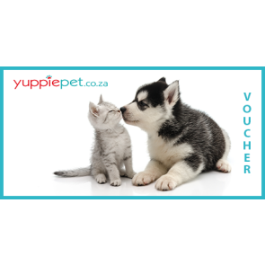 Gift Card - Kitten & Puppy