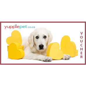 Gift Card - Dog with Yellow Hearts