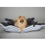 wagworld-cupcake-midi-dog-cat-bed