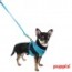puppia-two-toned-dog-lead