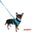 puppia-two-toned-lead