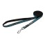 Rogz Dogz Beltz Jellybean Fixed Lead S Turquoise Chrome