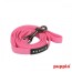 puppia-two-toned-lead